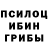 Галлюциногенные грибы Psilocybine cubensis EgcdyJamshid ShhgForish