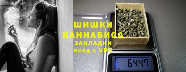 стаф Балахна