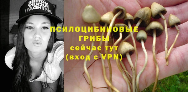 тгк Беломорск