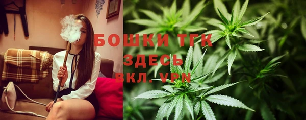 ПСИЛОЦИБИНОВЫЕ ГРИБЫ Белокуриха